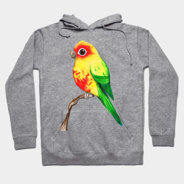 Cute sun conure Hoodie by Bwiselizzy